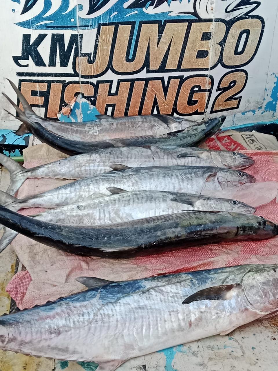 Dokumentasi trip KM JUMBO 10